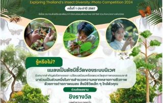 ขอเชิญนิสิตที่สนใจส่งผลงานเข้าร่วมการประกวดภาพถ่าย ในหัวข้อ "ความหลากหลายของแมลงประเทศไทยในป่าและสิ่งแวดล้อม Exploring Thailand’s Insect Diversity: Photo Competition 2024” ครั้งที่ 1 ประจำปี 2567